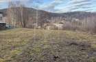 Teren spectaculos, intravilan,  Feleacu, zona linistita, padure + parau. - 6