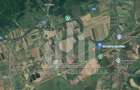 Teren extravilan | Agricol | 15800 mp | 45 ml deschidere | Salistea - 1