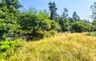 Teren intravilan   Cotmeana Arges - 3