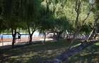 Conac lac Snagov cu ponton - 37
