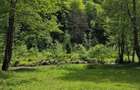 Teren intravilan - Rucar - Satic - 1775 mp - la strada principala - deschidere - 4