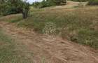Teren 5200 mp-ideal cabane, case de vacante, agricultura-Livezile - 3