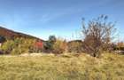 Teren Intravilan Bunloc - 6