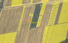 Teren intravilan Snagov / Tancabesti / 3.293 mp / D: 36.57 m / comision 0% - 4