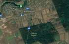 Teren de vanzare in Moara Vlasiei - 7170 mp - aproape de Padurea Biglaru - 1