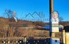 Teren intravilan 3129 mp | Deschidere 28 ml / Lespezi – Homoc - 6