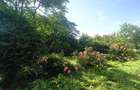 Jilava-Tineretului-Casa solida-1000mp Teren-260mp -159.900 EUR - 14