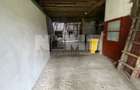 Casa de Vanzare | Maneuti | 3000MP - 12