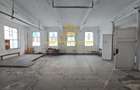 Platforma Industriala-8 ha -Fabrica-Hale Productie-21.500 mp - 18