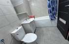 Apartament 2 camere Titan Nou / Theodor Pallady - 5