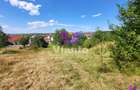 Teren Intravilan 546 mp | Panorama deosebita | PUZ in lucru