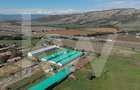 Hală industrială depozitare productie 826mp Sebeș - 9