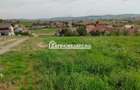 Teren intravilan 2248 mp - Nazna - 4