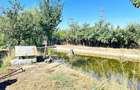 Casa si teren 3567 mp cu piscina, livada si helesteu – Corlatesti - 3