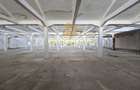 Platforma Industriala-8 ha -Fabrica-Hale Productie-21.500 mp - 11