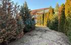 Royal Imobiliare - Vanzare Vila zona Paulesti - 4