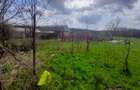 DE VANZARE TEREN 3400 MP IN SAT PODU ILFOVAT / COM BUTURUGENI (GR) - 22