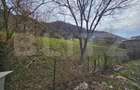 Teren intravilan generos de 4000 mp, cu priveliște montană, Cugir - 6
