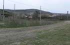 Vand teren 6170 mp in Vaslui, localitate Negresti - 3