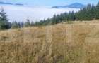 Teren extravilan, 50.000 mp, zona Vatra Dornei