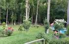 Vilă de lux 8 camere -600 mp si  4.750 mp teren cu ieșire in pădure zona pipera - 23