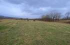 Caransebes, Teren Drept 5087 Mp. Ideal pt Casa 20 Euro Mp. Racovita - 10