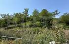 Teren intravilan, 1.748 mp, zona Crairât - 1