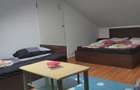 Apartament cu o cameră / Mansardă/ 45 mp/ confort lux/ utilată - 1