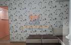 Apartament 2 camere, Banat - 13