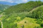 Investitie Smart in Moieciu, 3.1 ha, Panoramă 360 Bucegi - Piatra Craiului - 10
