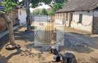 Teren 1.200 mp | Casă Demolabilă | Central | Dudeștii Vechi - 1