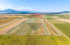 Teren 30,000mp Halchiu /Satul Nou - 7