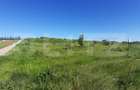 Teren intravilan 31.000 mp, zona Hanul Doctorului - 1