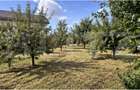 Teren intravilan, 432 mp, zona Albesti - 3