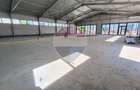 Hale industriale noi de inchiriat – spatii modulare 100–560 mp - 12