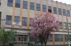 Cladire comerciala  1.540mp + Teren 1.042 mp , Calafat - 2