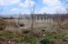 Teren 1500mp pentru diverse activitati economice | Zona Baile Someseni - 3