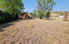 Proprietate industriala Podari – 2 hale (344 mp) + teren 2.515 mp - 16