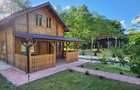 4 case de vacanță 2600 mp curte/complex turistic - 12