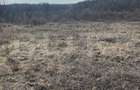 Teren intravilan de vanzare, 9783 mp, Paleu zona Iacului - 1
