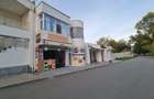 Spatii Comerciale trafic intens Teatrul de vara Neptun - 2