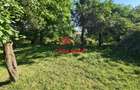 Teren intravilan in Breaza--686 mp--35.000e - 2