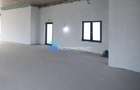 De Inchiriat | Spatiu Comercial | SAD | Timisoara | Zona Centrala | - 9