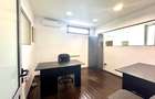 Business Hub Petre Ispirescu - 6 camere - 22
