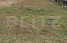 Teren de vanzare, 2450mp, zona Gorunului - 5