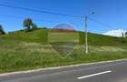 Teren intravilan 7430mp | Berinta, MM | Oportunitate de Investiție