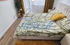 Apartament 3 camere 64mp, curte 120mp zona Subcetate - 9