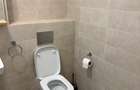Inchiriere apartament 2 camere Bloc Nou Baneasa - 10