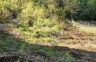 Teren intravilan 1000 mp-ideal casă de locuit, investitie-Zona Centura - 2