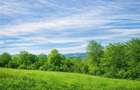 11.600mp teren, partial extravilan,Valea Mare Pravat, 2 km de Campulung Muscel - 2